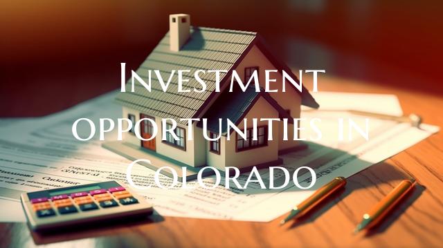Investment opportunities in ...